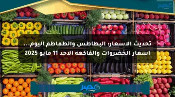 تحديث الأسعار: البطاطس والطماطم اليوم… أسعار الخضروات والفاكهة الأحد 11 مايو 2025